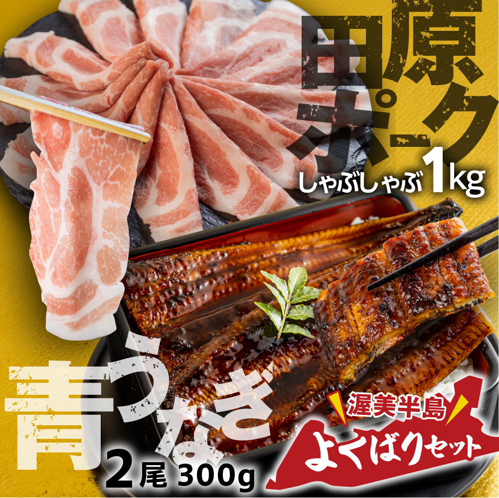 【ふるさと納税】幻の青うなぎ ＆ 田原ポーク セット うなぎ 訳あり 蒲焼  2尾  国産 豚肉 食べ比べ 500g × 2 計 1kg ウナギ 鰻 蒲焼き 最高級 長蒲焼 特大サイズ 楽天限定 土用丑の日 丑の日 簡単調理 惣菜 小分け 個包装  どうまい 定期便 (2回)