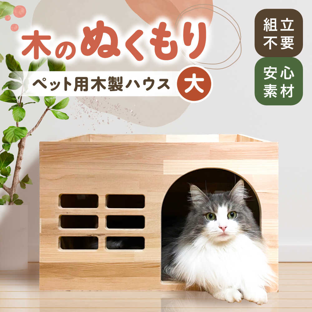 ＼愛西市反っくり返るのいちごをお届けします／