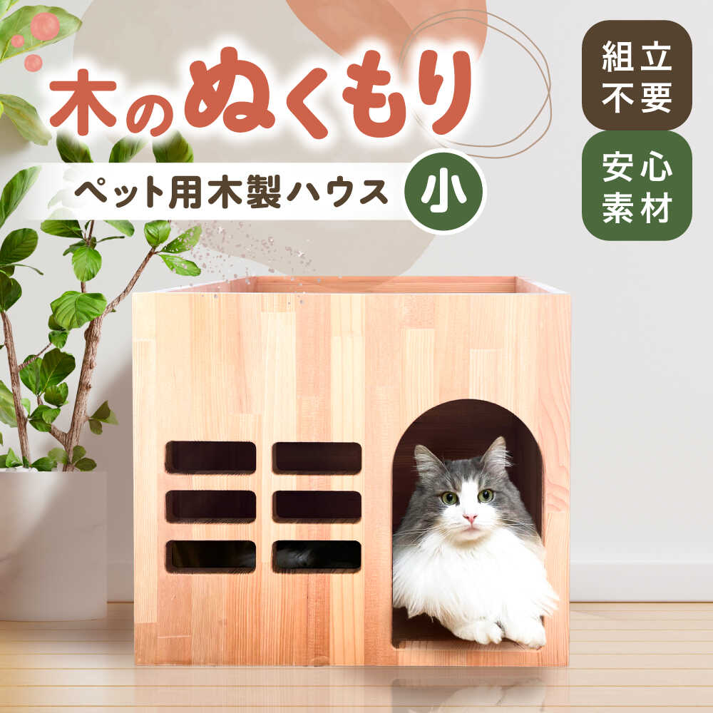 ＼愛西市反っくり返るのいちごをお届けします／