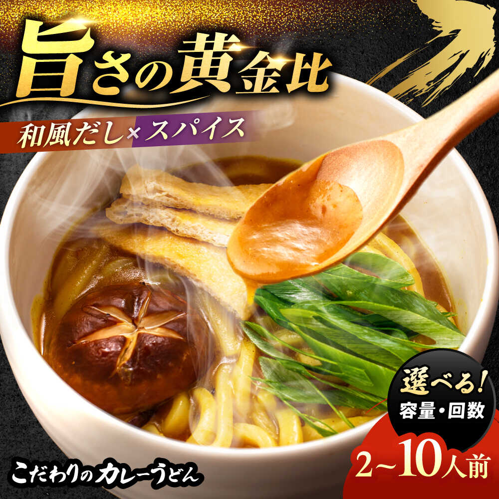 【ふるさと納税】【お中元ギフト】＼選べる内容量・回数／ うどん カレーうどん 2人前～10人前 和風だし うどん うどん麺 麺類 麺 冷凍 カレー だしパック 愛知 名古屋 名物 冷凍麺 冷凍食品 冷凍うどん 愛西市 / アロマ・フーヅ [AEAP002]｜愛知県愛西市