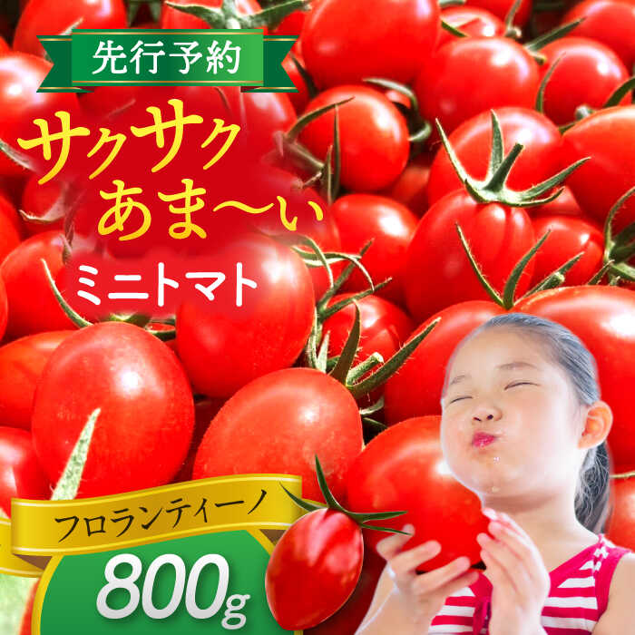 【ふるさと納税】 ミニトマト (フロランティーノ)　800g　トマト　野菜　新鮮　期間限定トマト　愛西市/株式会社石原農園[AEBG004]