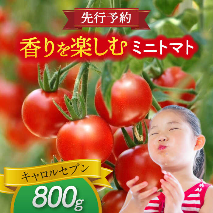 【ふるさと納税】 ミニトマト (キャロルセブン)800g　トマト　野菜　新鮮　期間限定トマト　愛西市/株式会社石原農園[AEBG005]