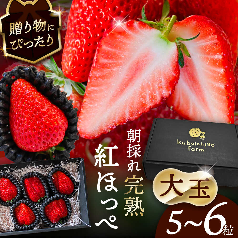 楽天市場】【ふるさと納税】【先行予約】いちご 紅ほっぺ 超特大