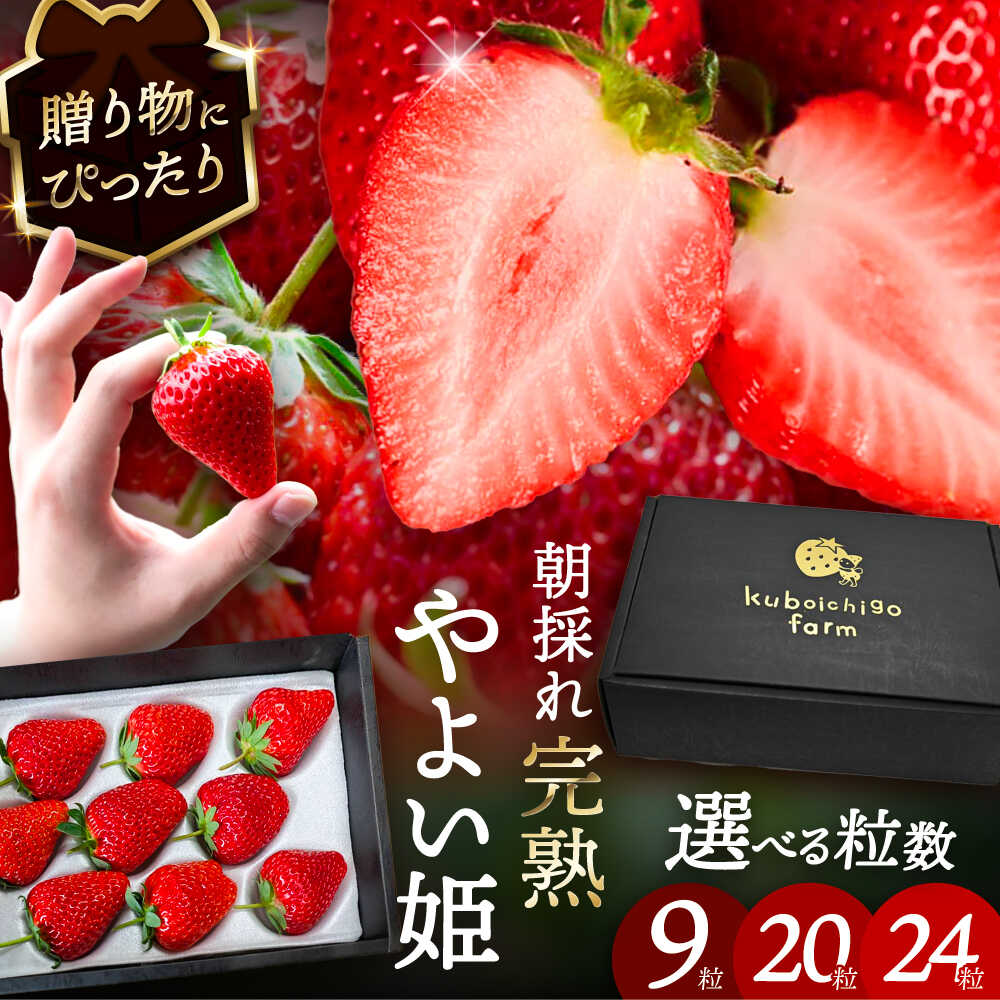 楽天市場】【ふるさと納税】【先行予約】【12月下旬から順次発送