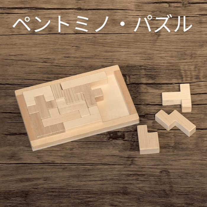 【ふるさと納税】木製ブロック ペントミノ・パズル 知育玩具 脳トレ リハビリ 積み木 自然素材 愛西市/クニミチ工芸[AECK002]