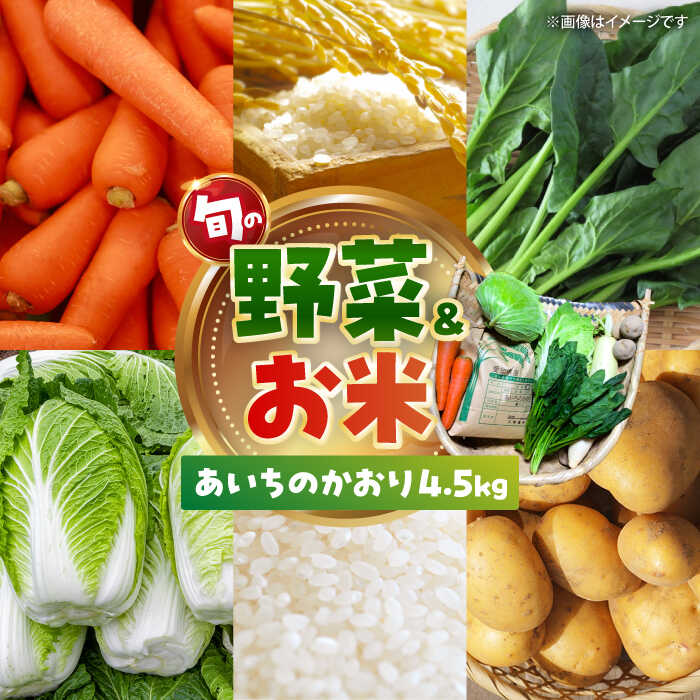 【ふるさと納税】愛西市産 あいちのかおり4.5kgと旬の季節野菜詰め合わせ 精米 お米 野菜 愛西市／お米の三輪[AECM002]