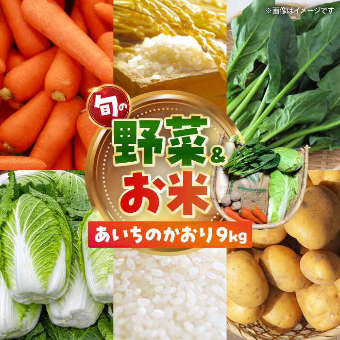 【ふるさと納税】愛西市産 あいちのかおり9kgと旬の季節野菜詰め合わせ お米 精米 野菜 愛西市／お米の三輪[AECM003]