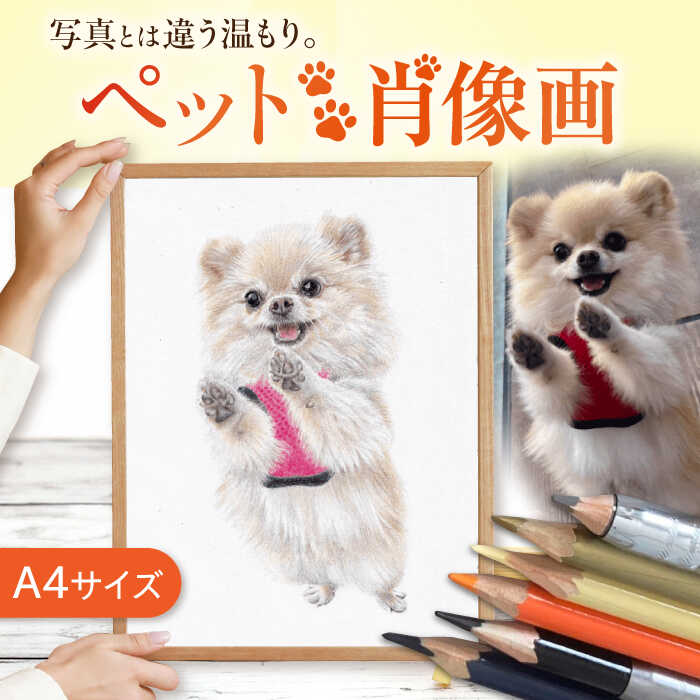 【ふるさと納税】＼唯一無二の作品へ／ ペット 肖像画（A4サイズ） 絵画 犬 ネコ 愛西市／村雲さゆり[AECU002]｜愛知県愛西市