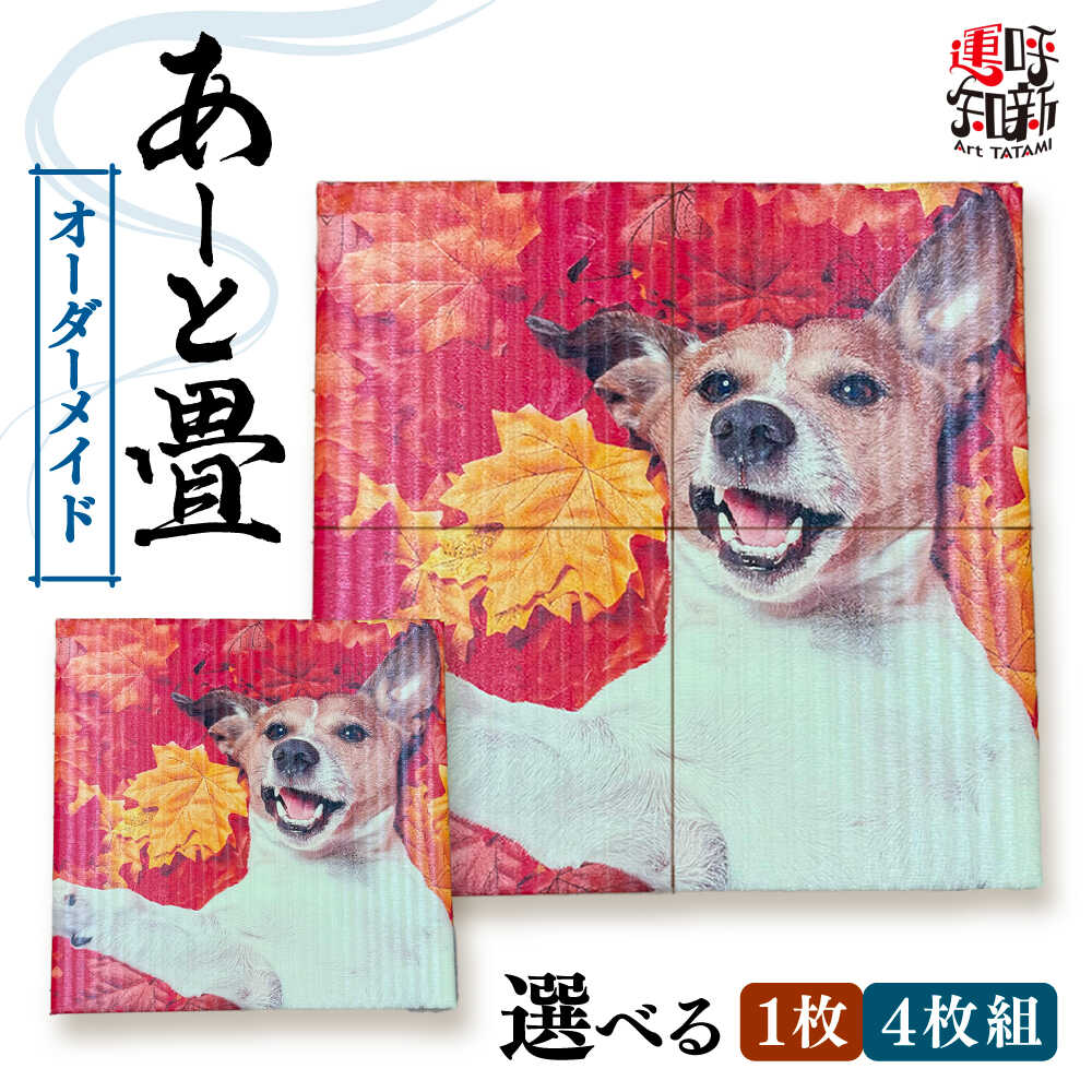 ＼愛西市反っくり返るのいちごをお届けします／