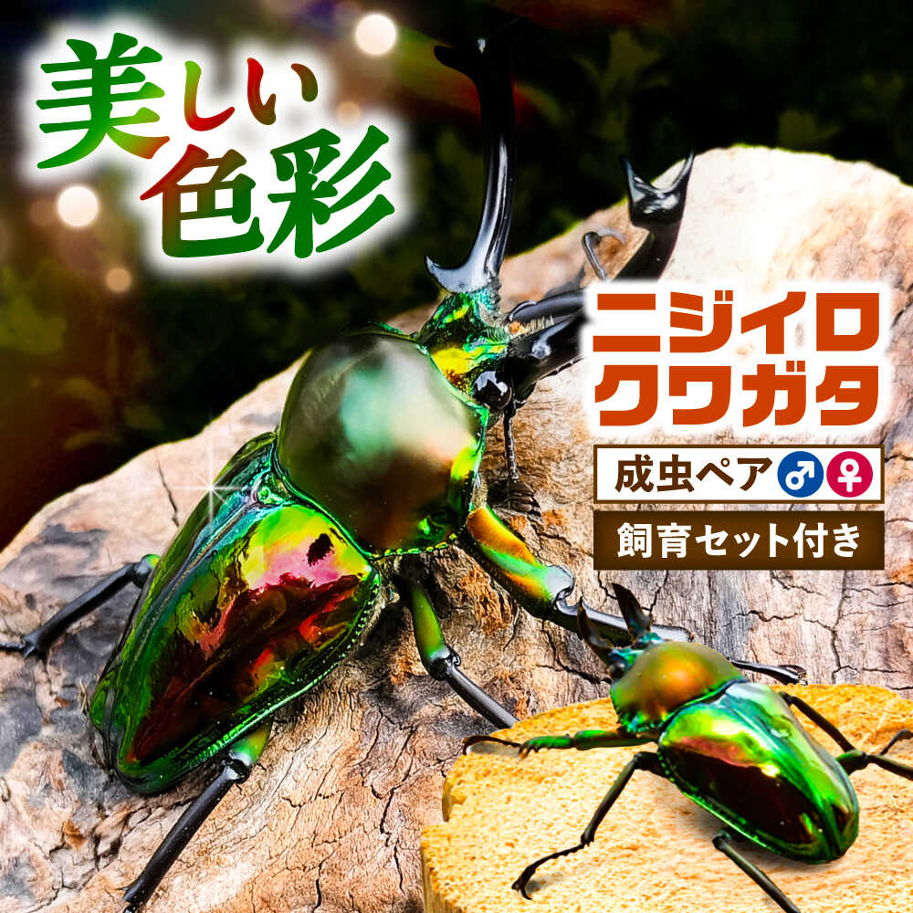 ＼愛西市反っくり返るのいちごをお届けします／