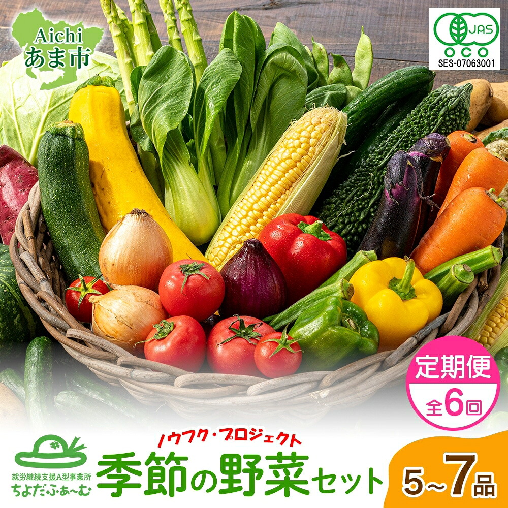 【ふるさと納税】【全6回 奇数月にお届け！】定期便 季節の野菜 詰め合わせ ノウフク 冷蔵便 就労支援 セット 詰合せ 農福 農福JAS 無農薬 有機JAS 有機栽培 オーガニック 野菜 新鮮 料理 旬 季節 無農薬 千代田ファーム 愛知県 あま市