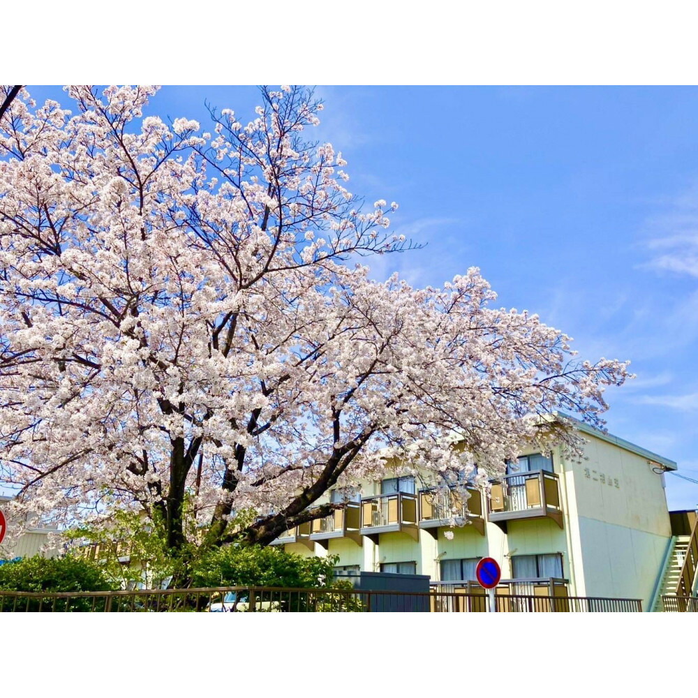 【ふるさと納税】長久手市内での短期入居体験 (1ヶ月) 長久手市 短期入居体験 1ヶ月 賃貸 住まい ギフト | 長久手市 愛知 一人暮らし 賃貸 短期 入居 体験 1ヶ月 旅行 宿泊券 ペンション コテージ 予約 トラベル ふるさと納税 体験型 生活体験 住宅滞在 88,000円