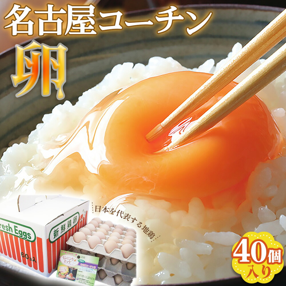【ふるさと納税】日本を代表する地鶏　名古屋コーチン卵　40個入 ／ ブランドたまご ブランド卵 ブランド玉子 卵 たまご タマゴ 玉子 鶏卵 産みたて 新鮮 こだわり 上質 濃厚 卵焼き 卵かけご飯 国産 阿久比町産 特産 送料無料 愛知県 No.213