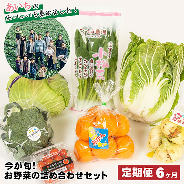 【ふるさと納税】No.216 【6ヶ月定期便】今が旬！お野菜の詰め合わせセット ／ 新鮮 季節の野菜 おまかせ たっぷり 送料無料 愛知県