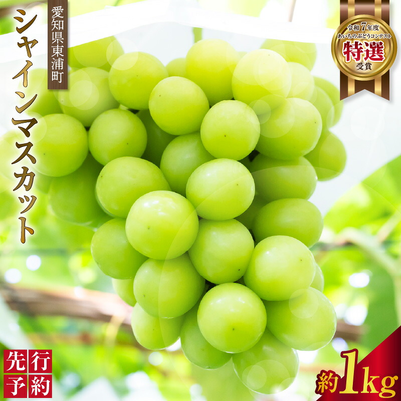 【ふるさと納税】＼先行予約／東浦町産 シャインマスカット【約1kg】先行予約承り中！フルーツ シャインマスカット 高級 旬の果物 贈り物 愛知県産 ブドウ 葡萄 フレッシュフルーツ 予約 マスカット クール便【発送期間：2026年8月発送】 送料無料 [BM003]｜愛知県東浦町