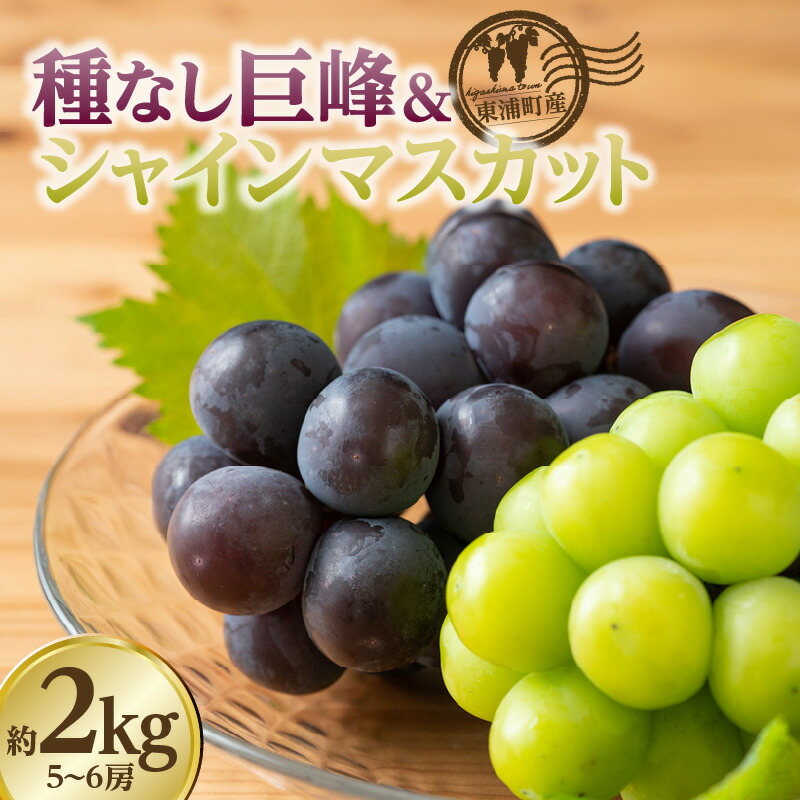 【ふるさと納税】【先行予約】＜2026年発送＞東浦町産 種なし巨峰 ＆ シャインマスカット 詰め合わせ 約2kg【5～6房】期間限定 フルーツ マスカット 巨峰 高級 旬の果物 贈り物 愛知県産 ブドウ 葡萄 食べ比べ 予約 クール便【発送期間：2026年8月以降】送料無料 [BG002]