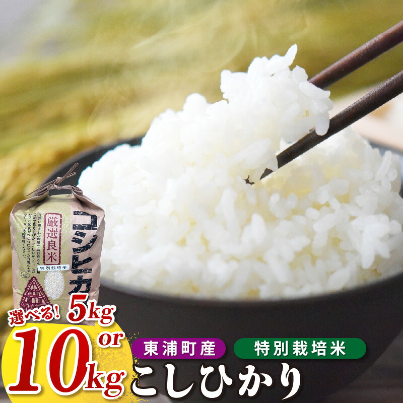 【ふるさと納税】東浦町のこしひかり【選べる内容量：5kg・10kg（5kg&times;2袋）】特別栽培米 コシヒカリ 精米 米 おこめ 農家直送 コスパ ブランド米 鈴木農産 愛知県 東浦町 返礼品 送料無料 [AO003]｜愛知県東浦町