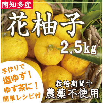 香り豊かな花柚子 2 5kg 注目の福袋をピックアップ