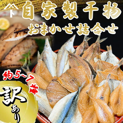 【楽天市場】【ふるさと納税】 訳あり 自家製 干物 おまかせ 詰合せ 約5〜7種 海鮮 新鮮 天日干し ひもの 愛知県 南知多町 人気 おすすめ おかず ご飯のお供 ごはん 詰め合わせ 訳アリ 規格外 さば あじ カマス さばふぐ いわし シズ 鯖 鯵 旬 鮮魚：愛知県南知多町