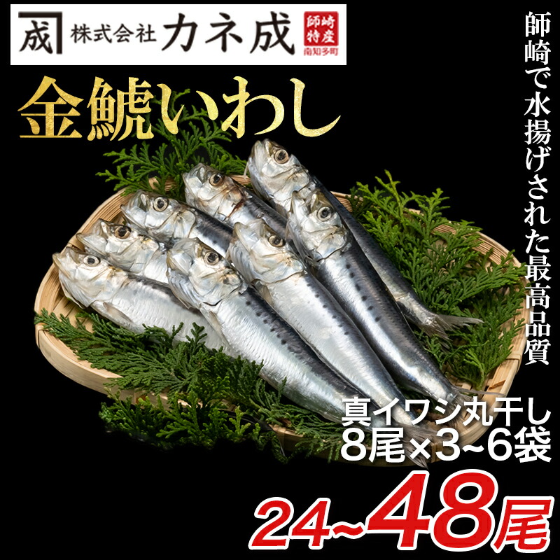 【ふるさと納税】 いわし 丸干し 24~48尾 (8尾×3～6p)  干物 冷凍 小分け ( ふるさと納税 干物 ふるさと納税 ひもの ふるさと納税 南知多 ふるさと納税 丸干し ふるさと納税 イワシ 鰯 節分 いわし カネ成 人気 おすすめ  ) 愛知県 南知多町【配送不可地域：離島】