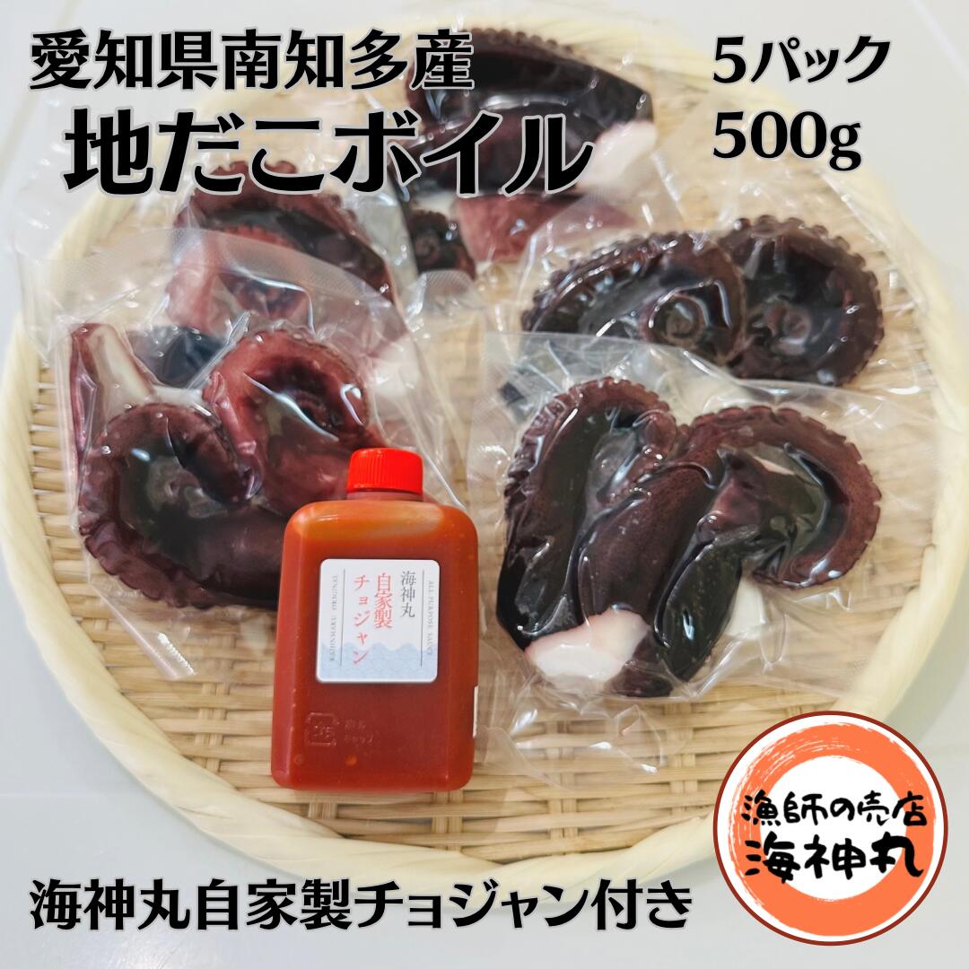 【ふるさと納税】 地だこ ボイル ５パック (100g×5)　海鮮 海産物 おつまみ お酒 たこ飯 たこ焼き 海の幸 アヒージョ たこの唐揚げ ご飯 おかず 自家製チョジャン付き【配送不可地域：離島】