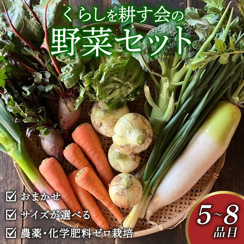 【ふるさと納税】 丸山農園の野菜セット おまかせ 6～8品目 選べる 容量 1～6人用 無農薬 くらしを耕す会 野菜 やさい サラダ 健康 人参 玉ねぎ 大根 野菜 愛知県 南知多町