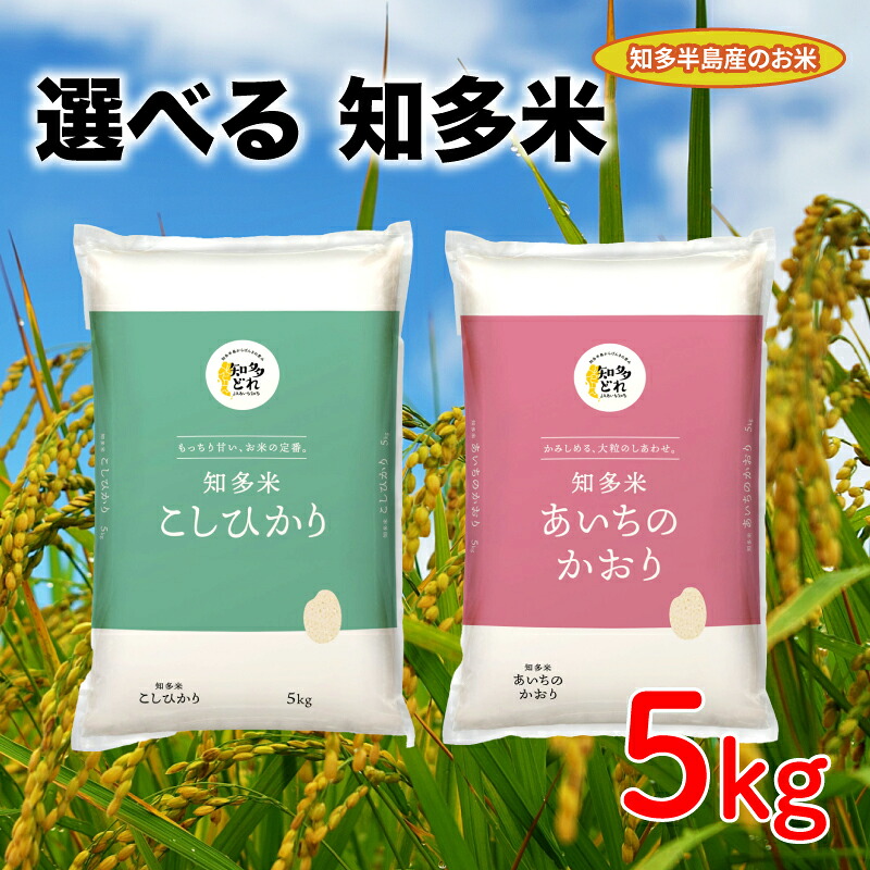 【ふるさと納税】 知多米 選べる こしひかり あいちのかおり 5kg 米 コシヒカリ こめ こしひかり 米 ライス ご飯 ごはん 主食 愛知 コシヒカリ こめ こしひかり 米 ライス ご飯 ごはん 主食 コシヒカリ こめ こしひかり 米 ライス ご飯 ごはん 愛知県 南知多町｜愛知県南知多町