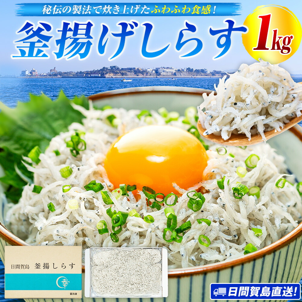 【ふるさと納税】 日間賀島 釜揚げ しらす 1kg 天然 塩 愛知県 南知多町 冷凍 ご飯 ごはん パスタ サラダ ピザ 丼 料理 国産 パーティー 魚 さかな シラス ミネラル 人気 おすすめ 【配送不可地域：北海道･沖縄県･離島】