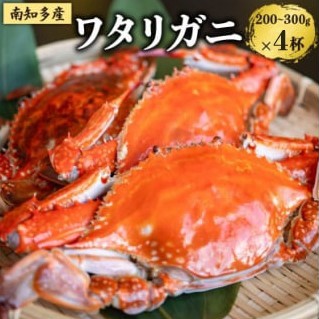 【ふるさと納税】 数量限定 ボイルワタリガニ 4杯 魚太郎 ボイル前:1匹200g～300g 10月下旬発送 冷凍 カニ 蟹 国産 魚介   海鮮 ワタリガニ 味噌 みそ ふるさと納税ワタリガニ おつまみ ご飯 鍋 グルメ 晩酌 愛知県 南知多町 人気 おすすめ 【北海道･沖縄県･離島配送不可】