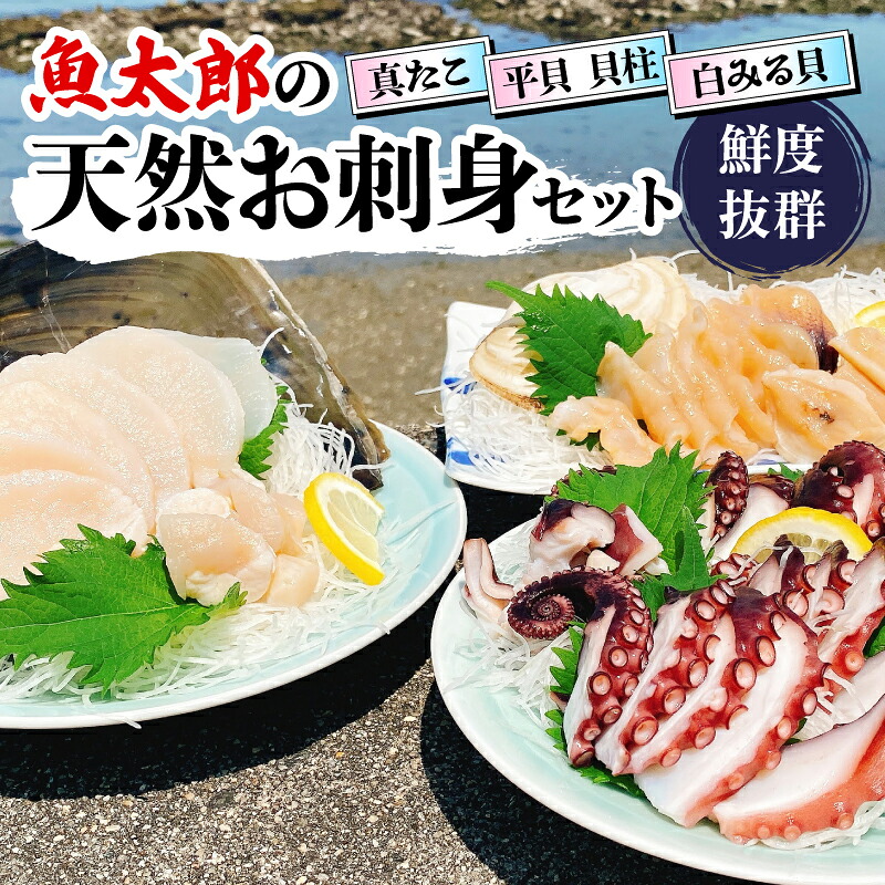 【ふるさと納税】 鮮度抜群！ 魚太郎 の 天然 お刺身 セット 真たこ 平貝 白みる貝 鮮魚 魚太郎 たこ焼き バターソテー 貝 かい たいらがい タイラギ 刺身 愛知県 南知多町