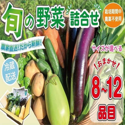 【ふるさと納税】 【容量が選べる】 野菜セット (8~12品目) 旬 季節 南知多産 詰め合わせ 農薬･化学肥料不使用 農家おまかせ 季節の野菜 旬の野菜 料理 とりのさと農園 愛知県 南知多町 7,300円