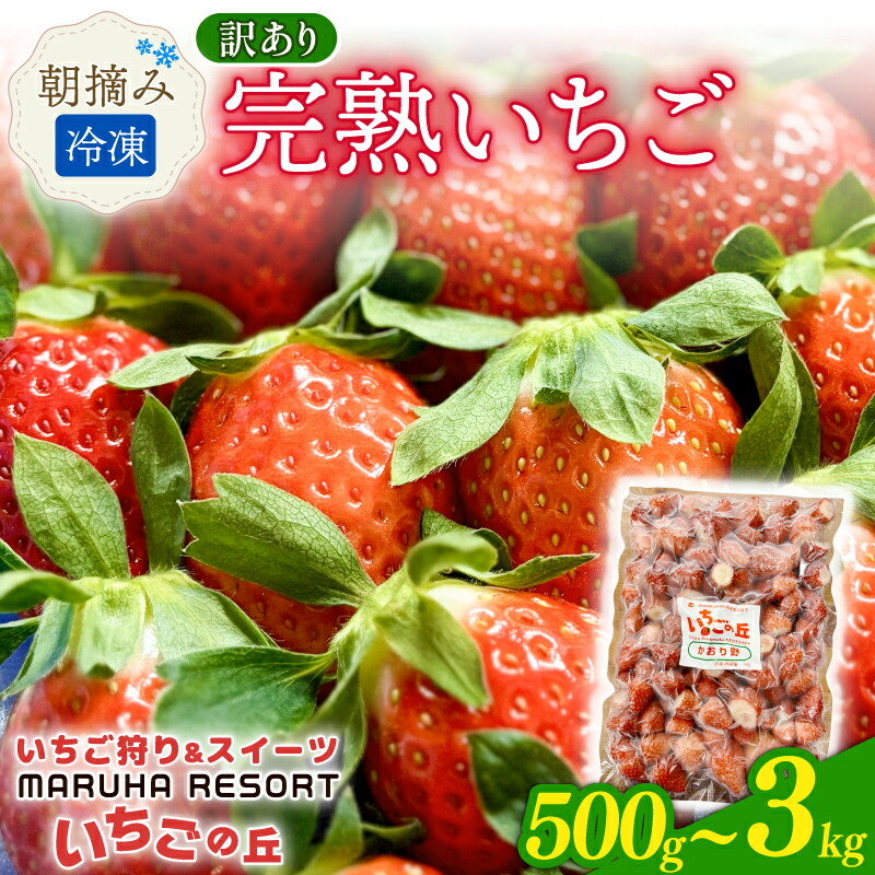 【ふるさと納税】 まるは食堂 マルハリゾート いちごの丘の『 訳あり 』完熟冷凍いちご 500g~3kg いちご 苺 冷凍いちご 訳あり イチゴ 果物 スイーツ デザート フルーツ アイス ジャム シャーベット かき氷 ストロベリー 冷凍 章姫 かおり野 紅ほっぺ 甘い 氷菓 南知多町画像