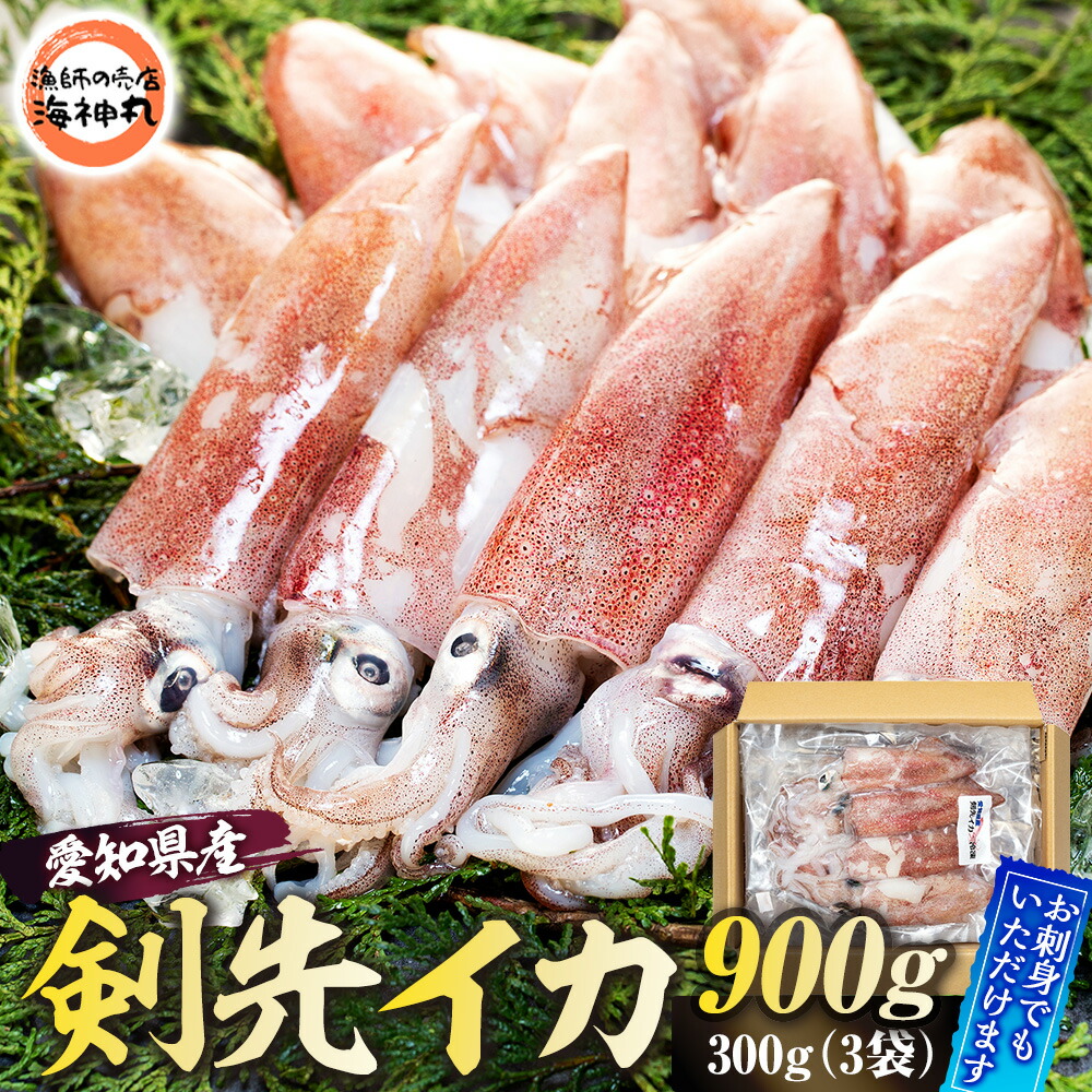 【ふるさと納税】 剣先イカ ケンサキ イカ ( アカイカ ) 300g × 3袋 冷凍 海鮮 魚介 海の幸 真空 パック 小分け バター 炒め 姿焼き パスタ フライ 揚げ物 アヒージョ 愛知県 南知多町 人気 おすすめ ふるさと納税イカ ふるさと納税アカイカ 烏賊 おかず ご飯のお供
