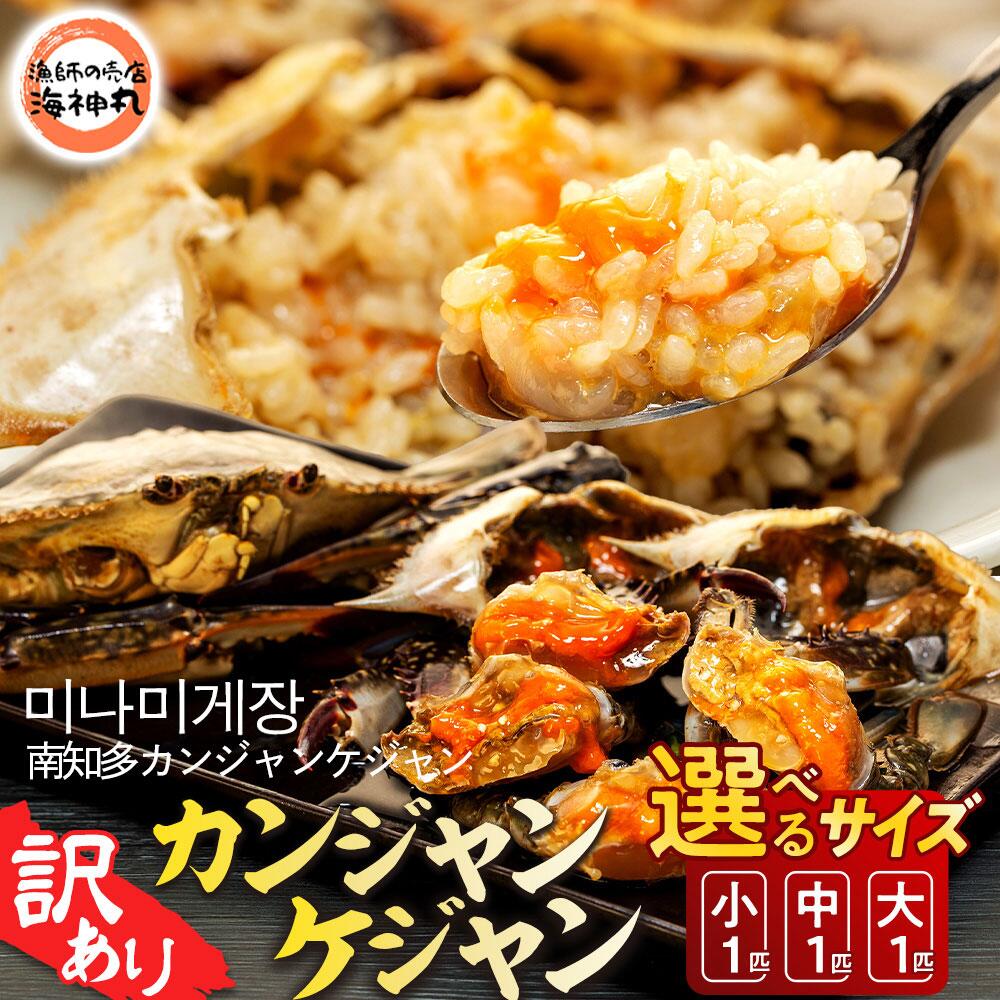 【楽天市場】【ふるさと納税】 選べる サイズ 訳あり 南知多カンジャンケジャン カンジャンケジャン 大中小 ワタリガニの醤油漬け 魚介 魚介類 ワタリガニ 渡蟹 蟹 新鮮 グルメ カニ お米 に合う コメ に合う こめ に合う ご飯 のお供 おすすめ 韓国料理 韓国グルメ 愛知県 南知多:愛知県南知多町