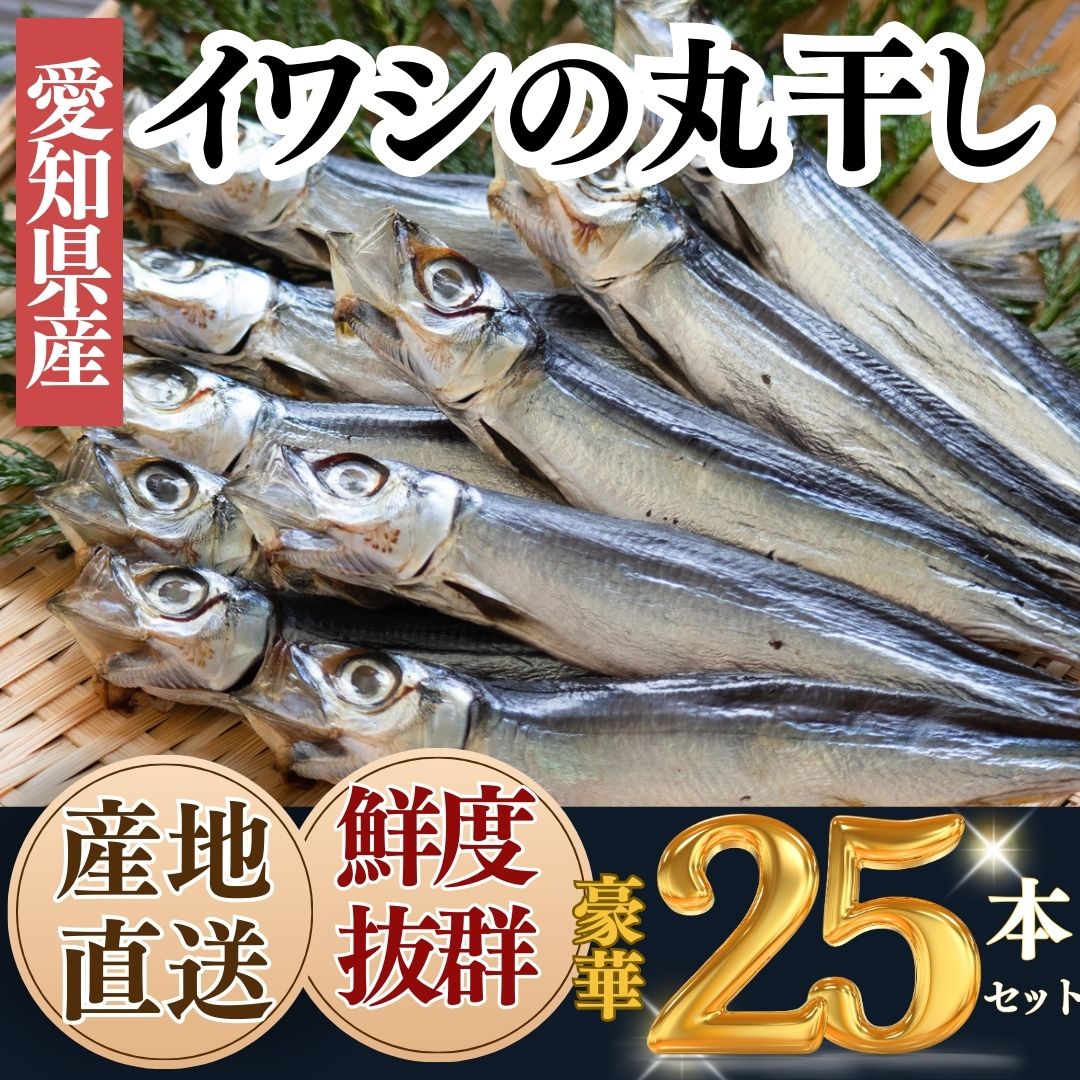 【ふるさと納税】 【大好評!】脂の乗った いわし 丸干し 25本 セット 岬だより 冷凍 ( 産地直送 鮮度抜群 海鮮 イワシ 鰯 愛知県 南知多町 人気 おすすめ 干物 天日干し｜愛知県南知多町
