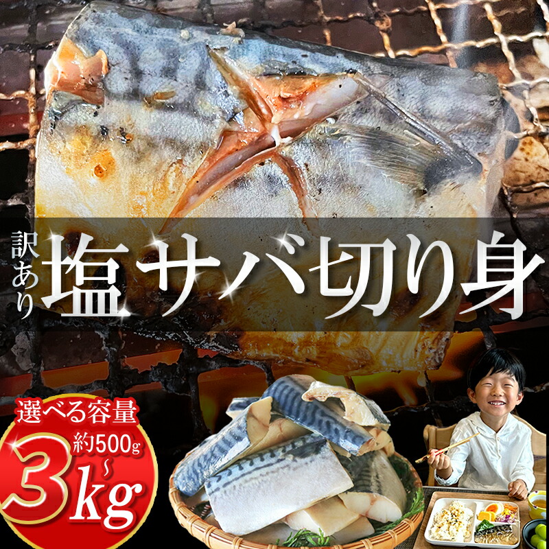 【ふるさと納税】 塩 サバ 切り身 【内容量が選べる】 約 500g 約 3kg  ( ふるさと 納税 訳あり ふるさと納税 さば ふるさと納税 鯖 ふるさと納税 塩サバ ふるさと納税さば ふるさと納税 冷凍サバ 規格外 不揃い 魚 切り身 おかず 惣菜 大容量 ) 愛知県 南知多町
