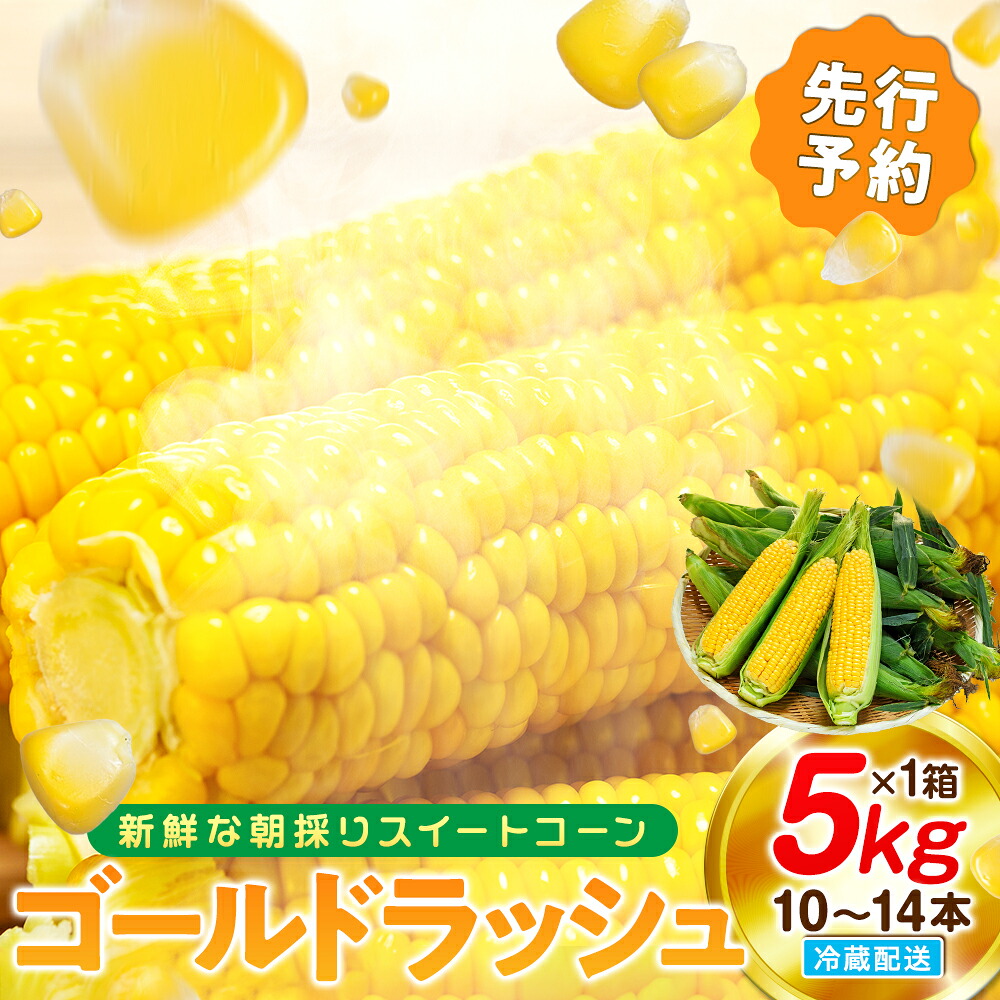 【ふるさと納税】 【2027年先行予約 6月下旬から出荷】 スイートコーン 5kg 10～14本 冷蔵 国産 とうもろこし 先行予約 数量限定 コーン 野菜 新鮮 焼き 蒸し 産地 直送 甘い 甘口 子ども 子供 小分け 種子 肥料 さわやか すっきり 糖度 黄色 人気 ご褒美 愛知県 南知多町｜愛知県南知多町