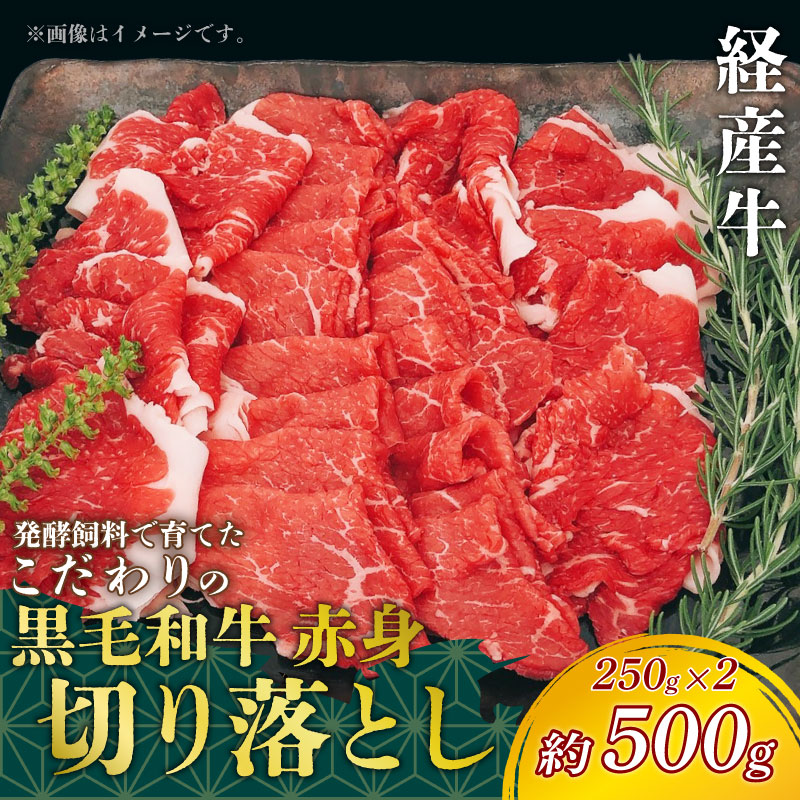 【ふるさと納税】 黒毛和牛 赤身切り落とし 約500g (250g&times;2) 冷凍 経産牛 切り落とし 小分け パック 赤身 肉 牛肉 国産 切落し 赤身肉 国産牛肉 国産牛 お肉 赤み 切り落し 切り落とし 人気 おすすめ 愛知県 南知多町｜愛知県南知多町