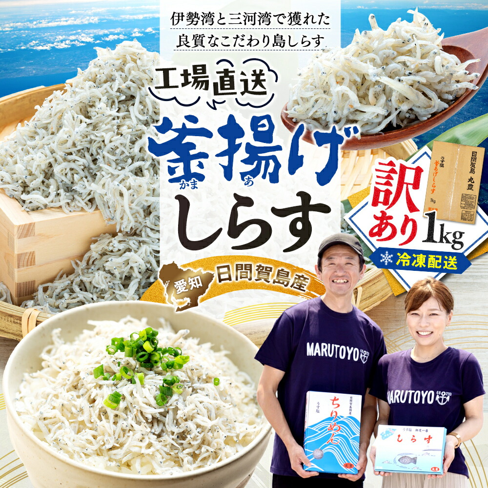 【ふるさと納税】 しらす 1kg ふるさと 納税 訳あり ( ふるさと納税しらす ふるさと納税 ちりめん ふるさと納税 釜揚げ しらす 魚 さかな  減塩 国産 シラス おつまみ おにぎり 離乳食 ご飯 ごはん ピザ サラダ 便利 丼 料理 日間賀 島 丸豊 ランキング ) 愛知県 南知多町