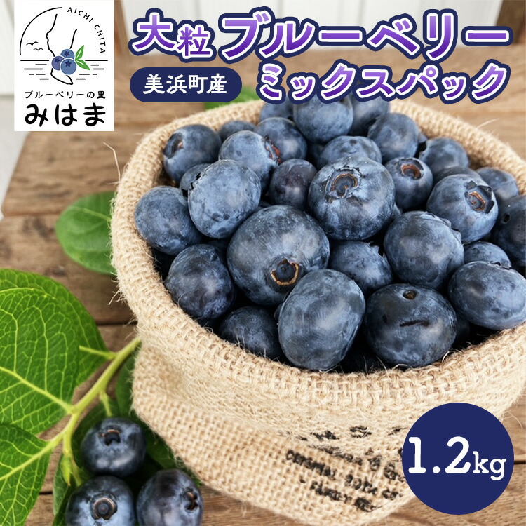 【ふるさと納税】【数量＆期間限定】国産大粒ブルーベリー　100g×12パック入り ※2025年6月中旬～8月中旬に順次発送予定 ※北海道・沖縄・離島への配送不可