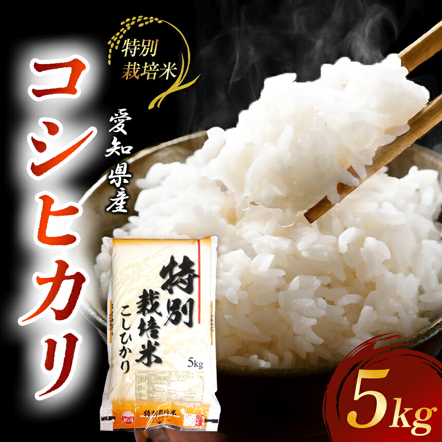 【ふるさと納税】【地元生産者の思いが伝わる一品】特別栽培米こしひかり5kg 令和7年産米◇ | 米 こめ こしひかり コシヒカリ 令和７年産米 特別栽培米 愛知県美浜産 愛知県 美浜町｜愛知県美浜町