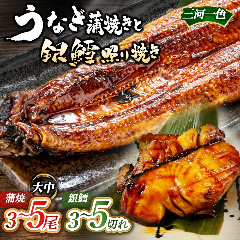 【ふるさと納税】【選べる内容】三河一色産うなぎ蒲焼き＋銀たら照り焼き｜ 鰻 かば焼き 銀鱈 タラ タレ付き 簡単調理 冷凍
