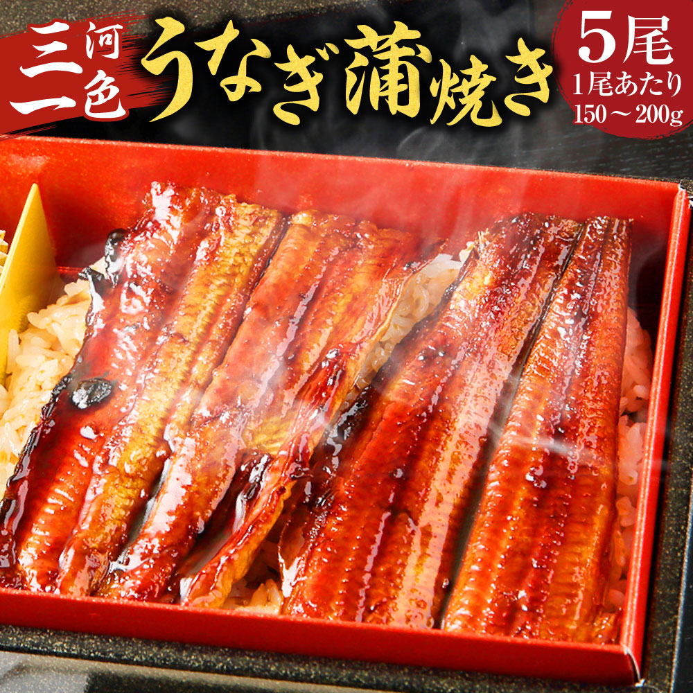 品数豊富！ 三河一色 うなぎ蒲焼き 150〜200g×5尾 三河一色産 うなぎ 鰻 ウナギ 蒲焼 蒲焼き 冷凍 送料無料 fucoa.cl