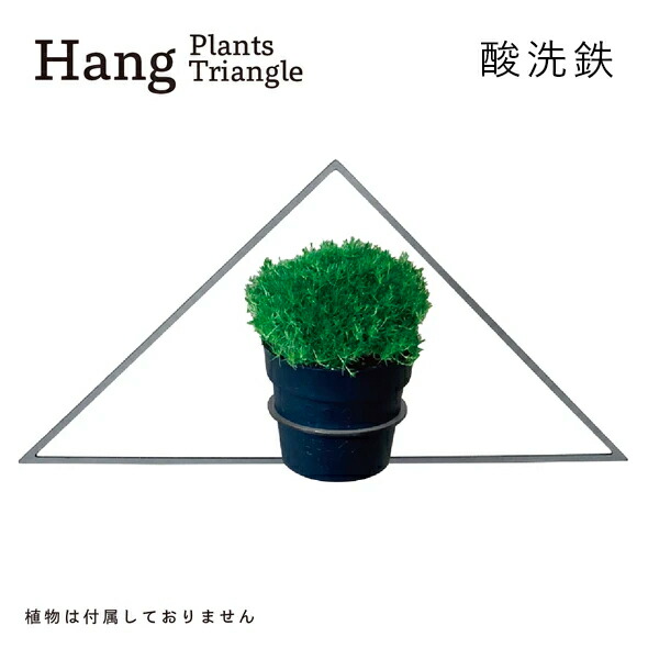 正規品 ふるさと納税 Graviron Hang Plants シリーズ プランツハンガー Triangle 酸洗鉄 ハンギングプランツ プランター ハンギング エアプランツ 吊るす 植物ホルダー 観葉植物 インテリア 金属製 おしゃれ モダン 日本製 送料無料 収納用品