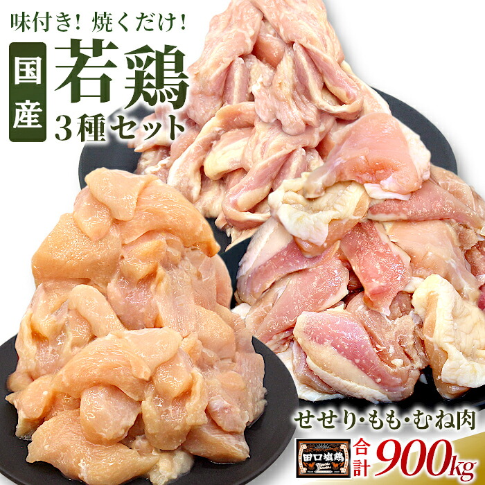 【ふるさと納税】奥三河どり使用! 田口塩鶏 国産 若鶏味付け肉 3種セット 900g(もも肉250g×1・むね肉250g×1・せせり200g×2)もも肉 むね肉 塩ダレ 味付け肉 鶏肉 鶏 肉 キャンプ 味付け肉 大容量 地鶏 焼肉 焼き鳥 10000円 10000 -169