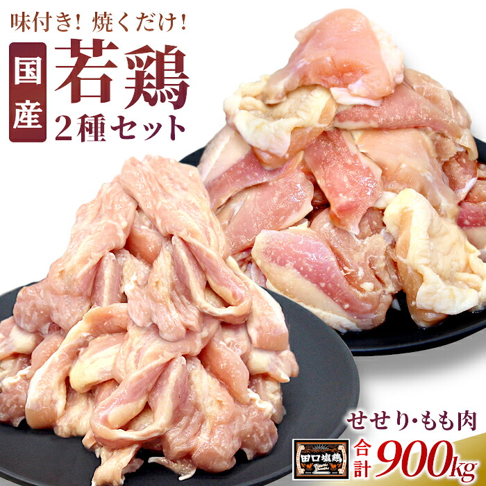 【ふるさと納税】田口塩鶏 国産 若鶏味付け肉 2種セット（せせり・もも肉）合計900ｇ もも肉 500g せせり 400g 塩ダレ 味付け肉 鶏肉 鶏 肉 バーベキュー 味付け肉 大容量 焼くだけ 焼肉 焼き鳥 奥三河どり 10000円 10,000円 10000 -171｜愛知県設楽町