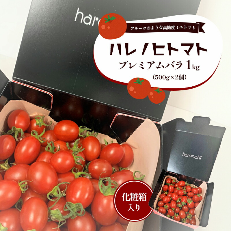【ふるさと納税】ハレノヒトマト プレミアムバラ1kg [ 糖度11度以上 500g×2個 ミニトマト とまと 野菜 フルーツトマト 化粧箱 ]