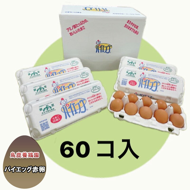 【ふるさと納税】パイエッグ赤卵60コ入り [ 赤たまご 新鮮 濃厚 コク 生卵 たまご 鶏卵 小分け 鳥鹿養鶏園 ] 8,880円