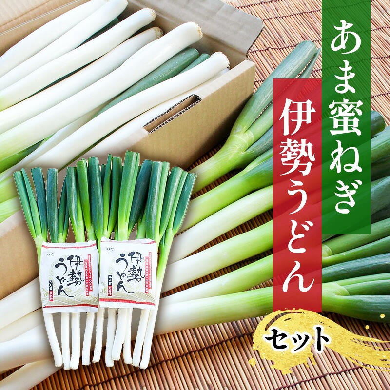 【ふるさと納税】あま蜜ねぎ・伊勢うどんセット【野菜 ねぎ ネギ 長ネギ うどん】 麺類 ｜三重県津市