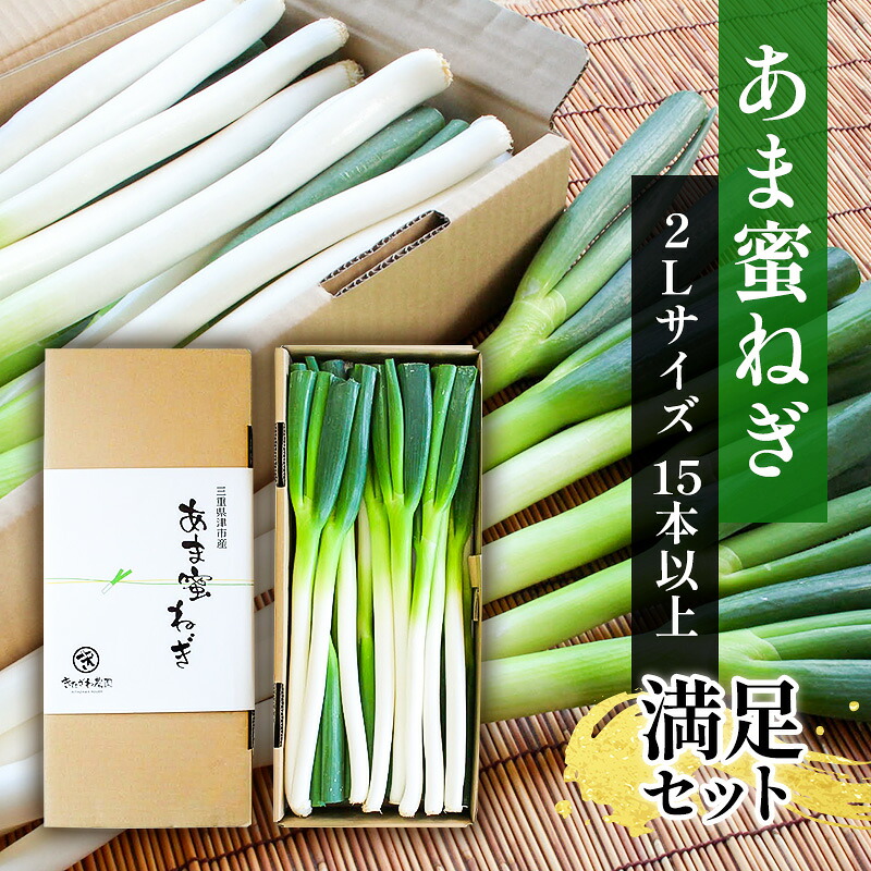 【ふるさと納税】あま蜜ねぎ　満足セット【野菜 ねぎ ネギ 長ネギ】